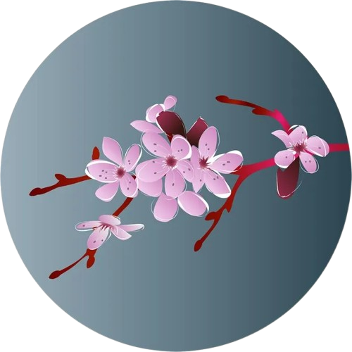 КЫСКА-НУСКА